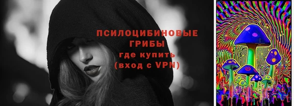 ГАЛЛЮЦИНОГЕННЫЕ ГРИБЫ Алексеевка